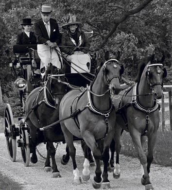 53.Cch_.0792_1.bwcropWEB2.jpg 53.Cch_.0792_1.bwcropWEB2.jpg