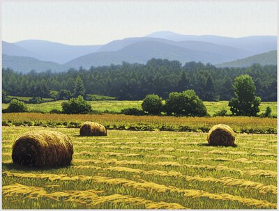 Autumn Haze (2009): John MacDonald finds quiet beauty everywhere, such as these hay bales in a neighbor's field. Autumn Haze (2009): John MacDonald finds quiet beauty everywhere, such as these hay bales in a neighbor's field.